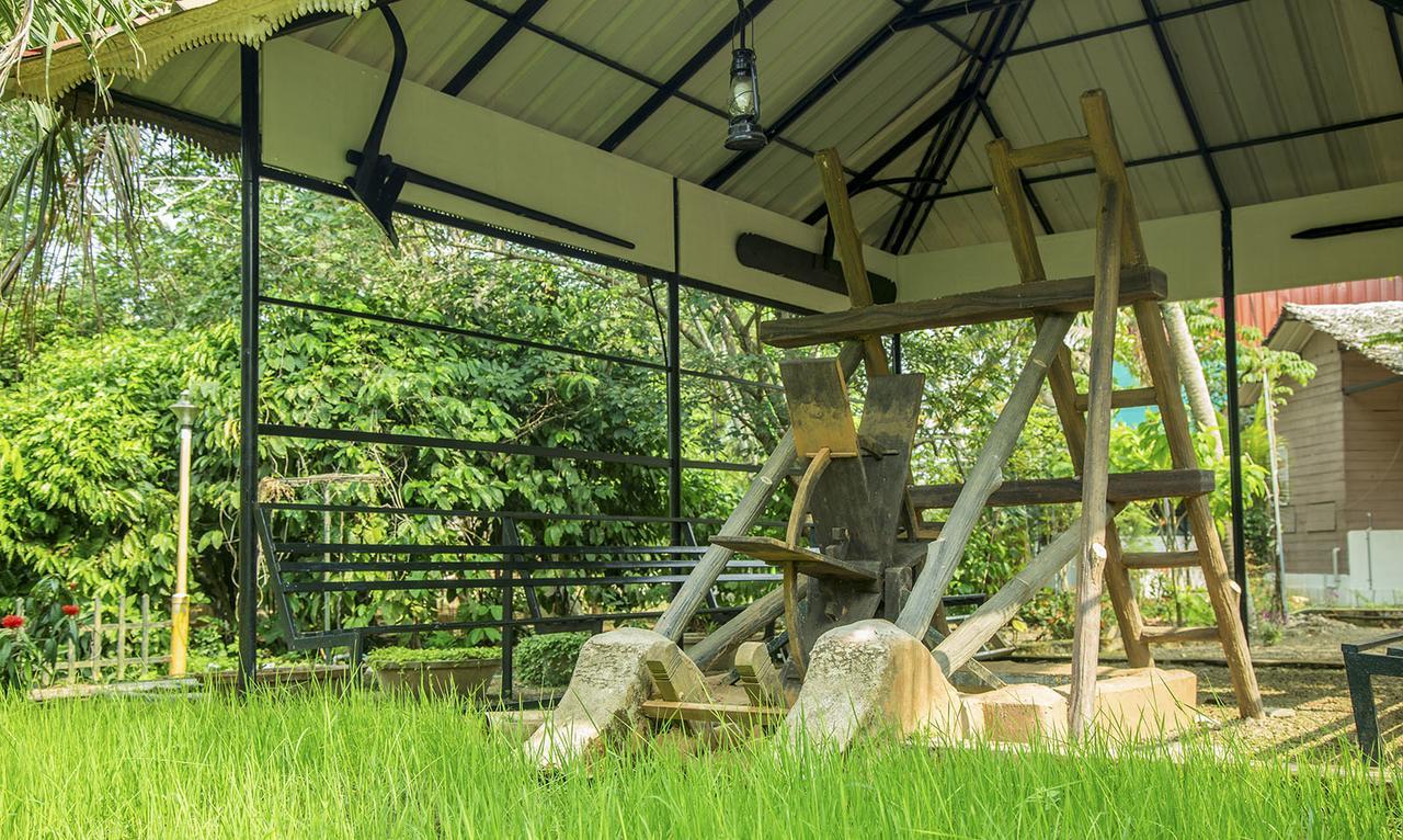Mango Meadows Hotel Kottayam Eksteriør billede